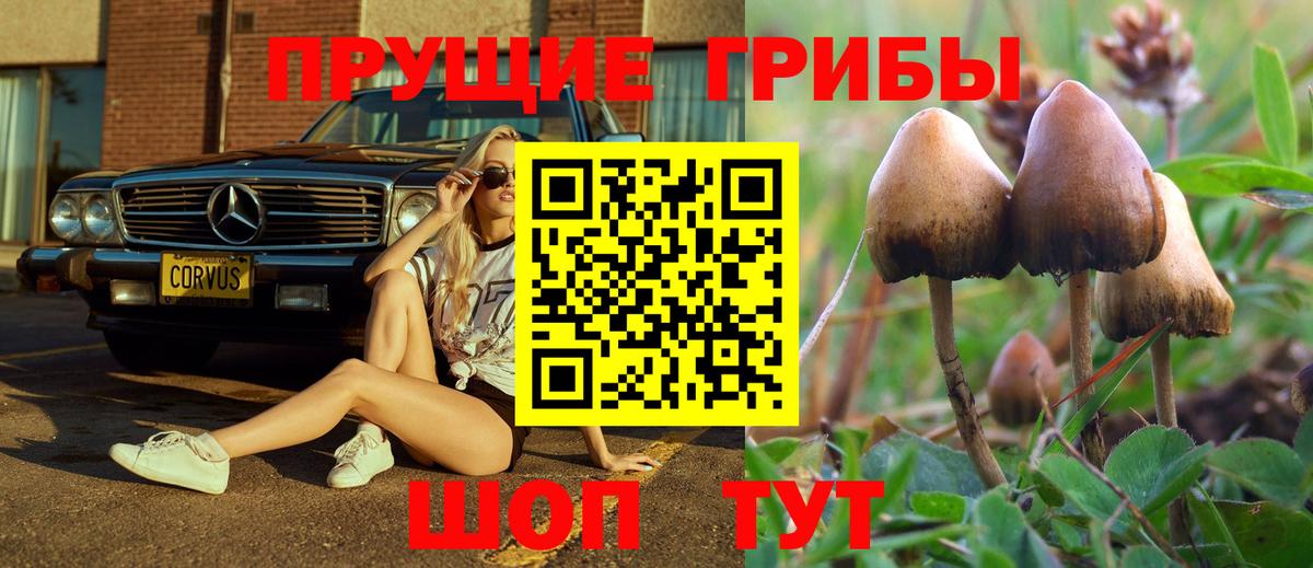 Галлюциногенные грибы Magic Shrooms Воткинск